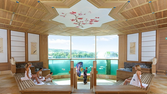 ADVENTS-GEWINNSPIEL: Die THERMEN & BADEWELT SINSHEIM auf Maikikii! 3 thermen und badewelt sinsheim koi sauna1