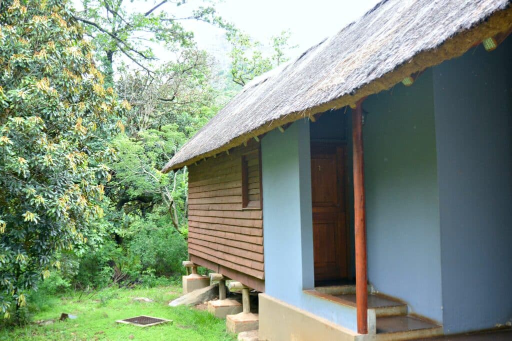 Südafrika Teil 2 I Einmal Swasiland und zurück I Highlights 36 afrikaII 161