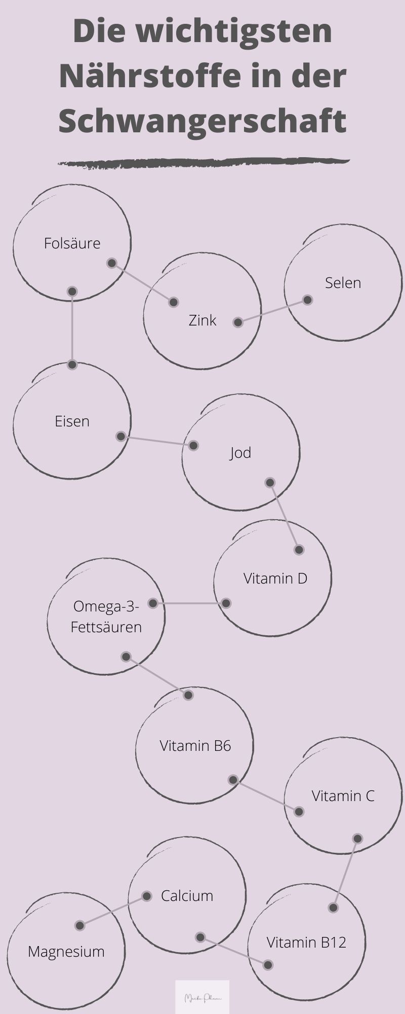 die wichtigsten naehrstoffe in der schwangerschaft grafik1